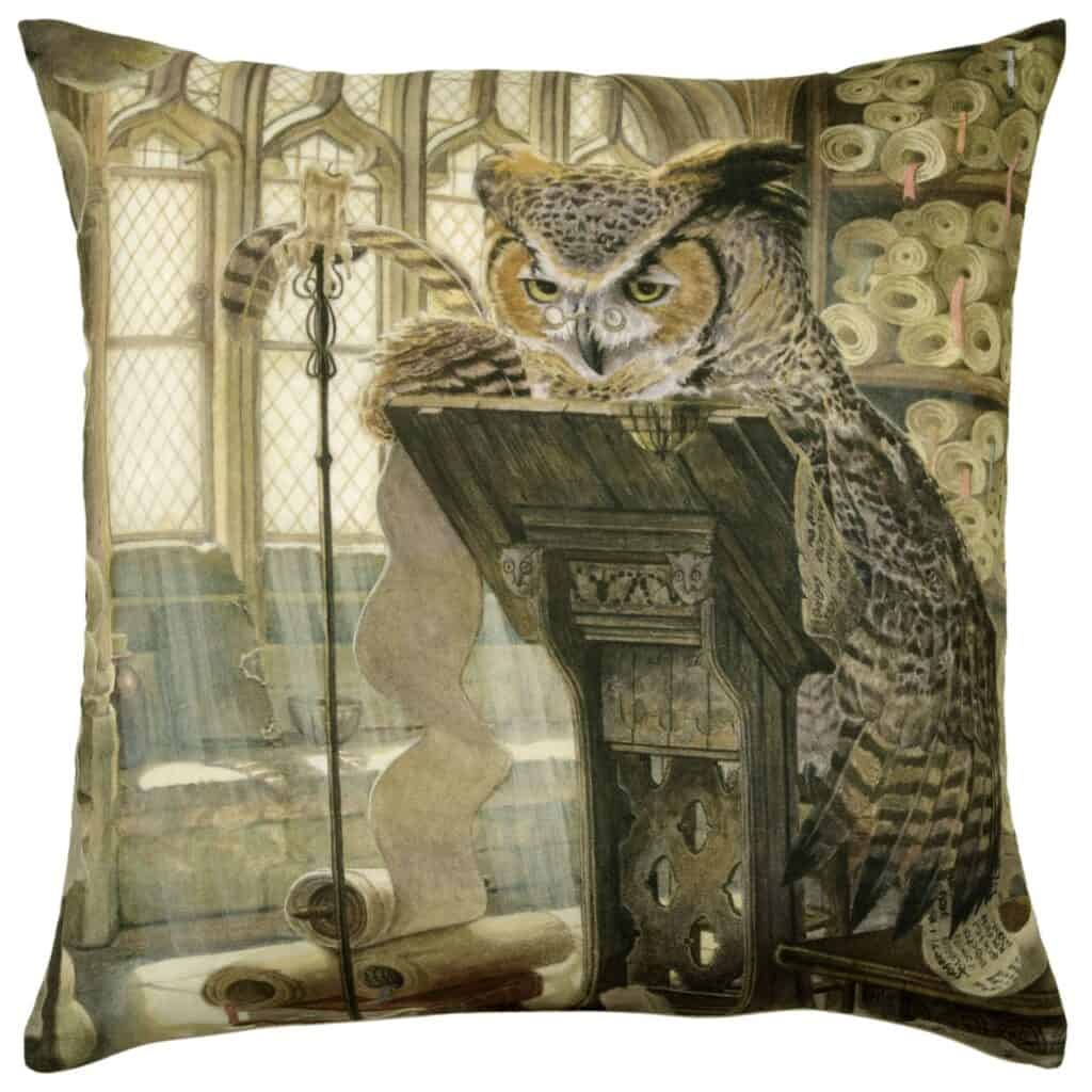 Owl Professor Velvet Cushion