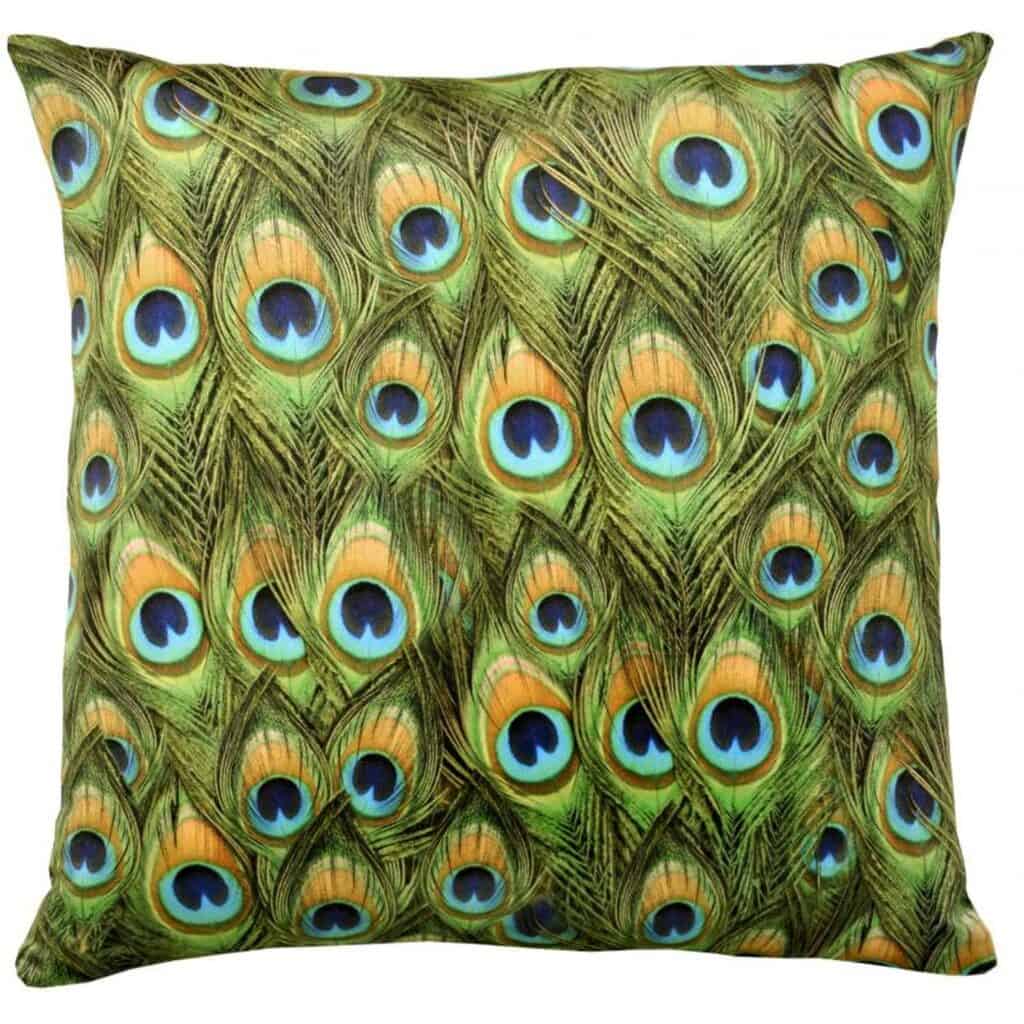 Peacock Velvet Cushion