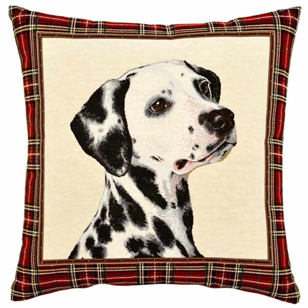 Dalmatian Dog Portrait Cushion