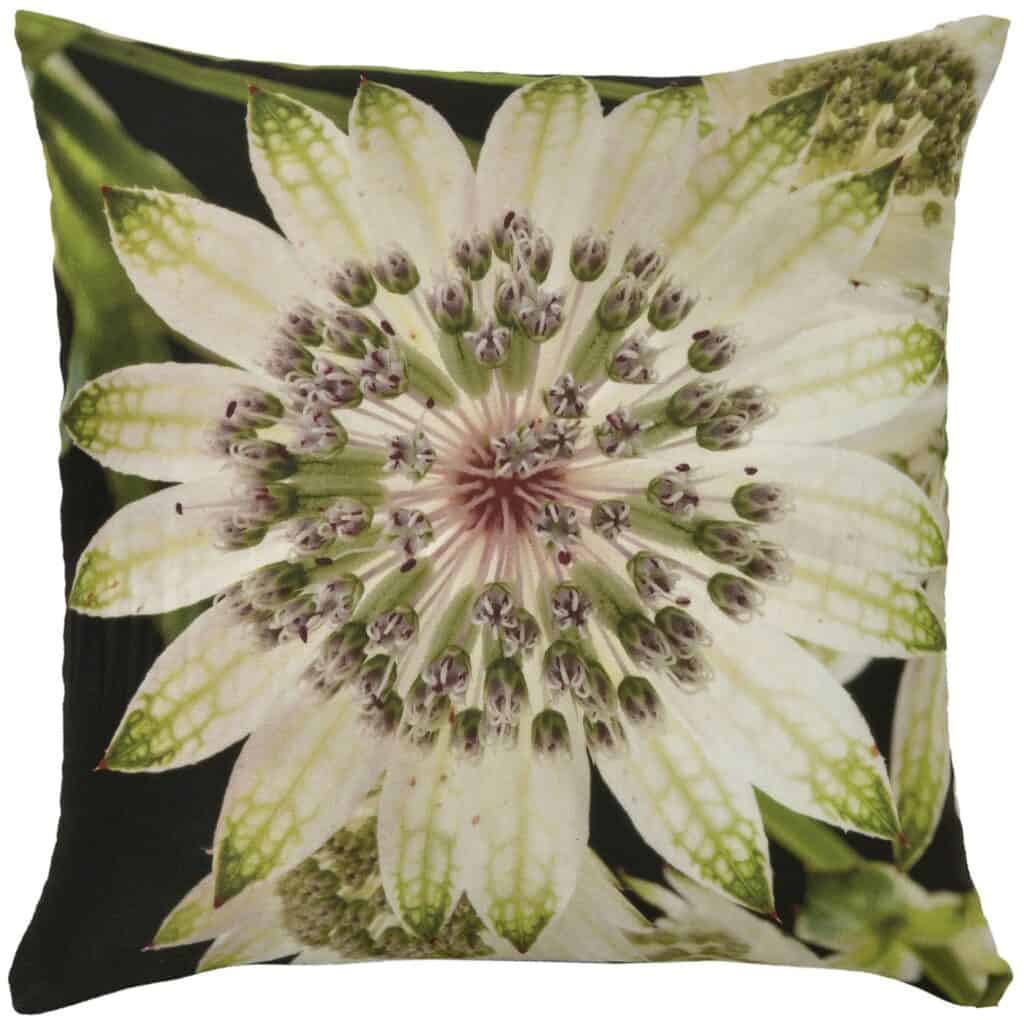 Passion Flower Velvet Cushion