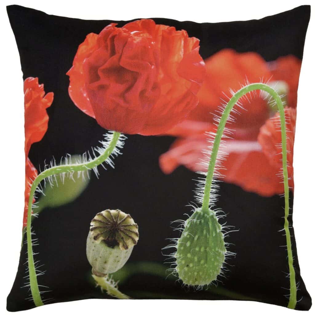 Poppies Velvet Cushion