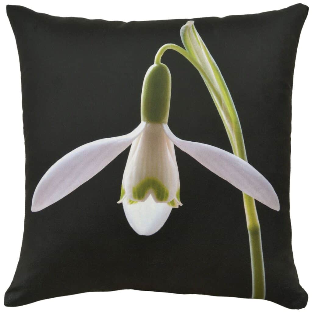 Snow Drop Open Velvet Cushion