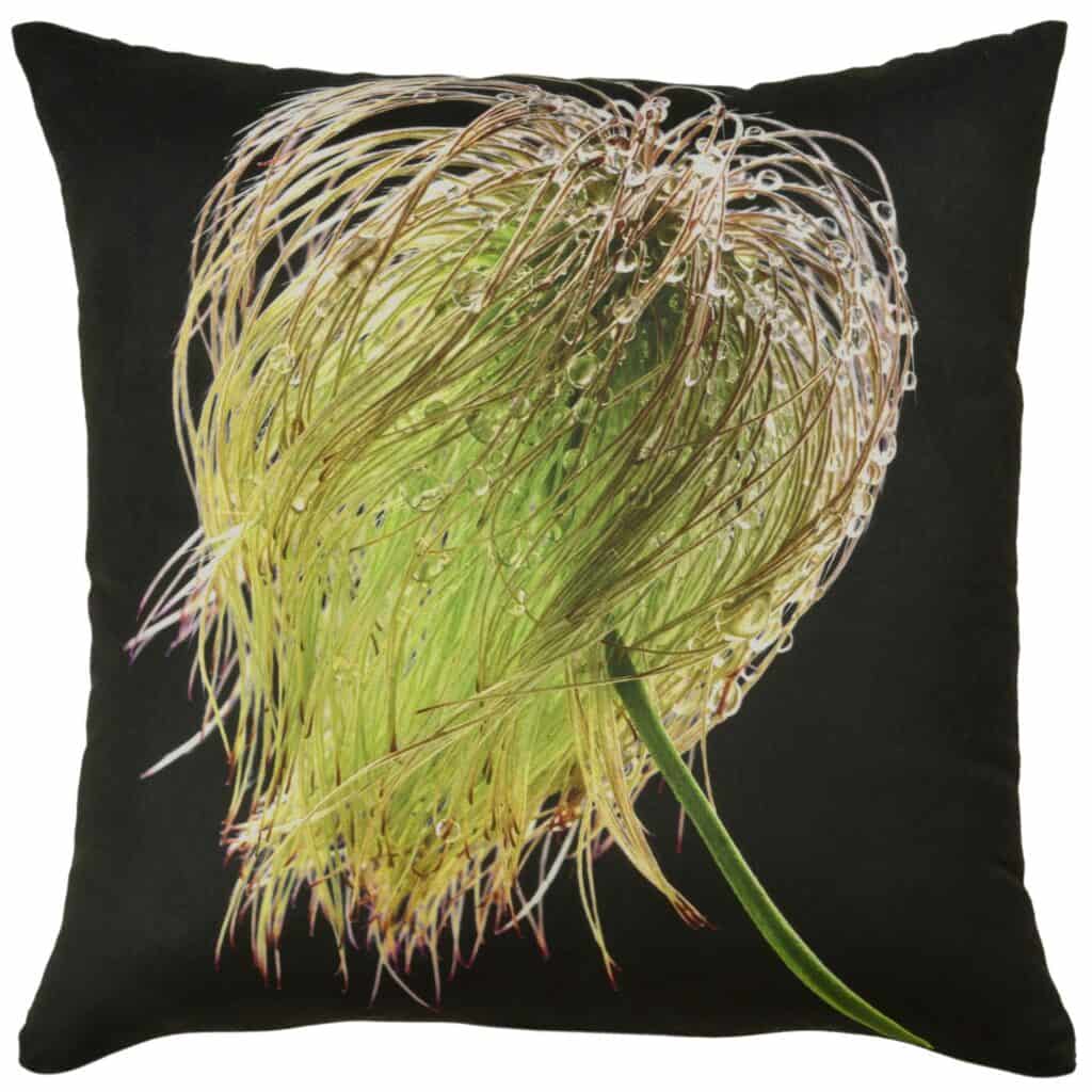 Clematis Velvet Cushion