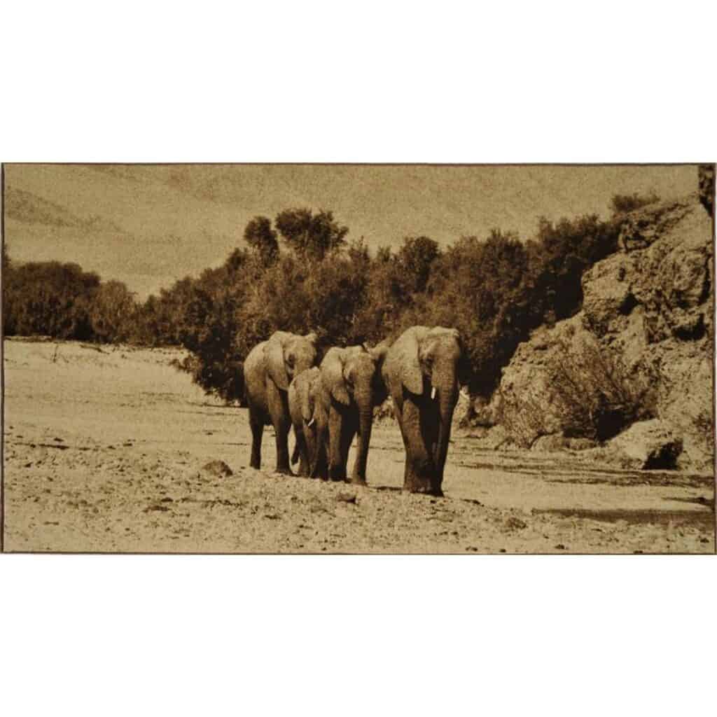 Elephants Wall Hanging